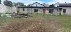 2604 - zdjęcie nr 3