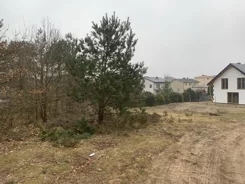 LS2528 - zdjęcie nr 2