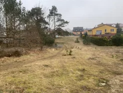 2527 - zdjęcie nr 2