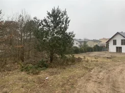 2527 - zdjęcie nr 3