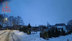 LS02590 - zdjęcie nr 2