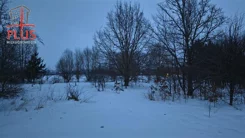 LS02590 - zdjęcie nr 3