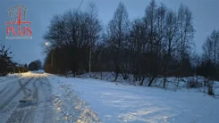 LS02590 - zdjęcie nr 4