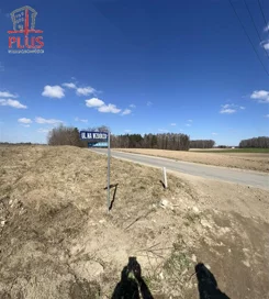 LS02600 - zdjęcie nr 4