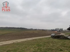 LS02594 - zdjęcie nr 3