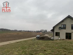 LS02594 - zdjęcie nr 4