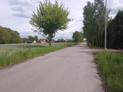 1294 - zdjęcie nr 4