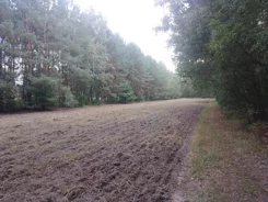 3178 - zdjęcie nr 3