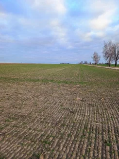 961 - zdjęcie nr 3