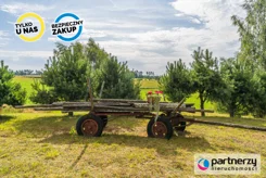 PAN621885 - zdjęcie nr 1
