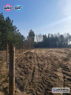 PAN460976 - zdjęcie nr 4