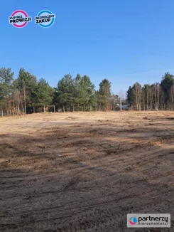 PAN317908 - zdjęcie nr 3