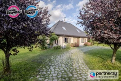 PAN171297 - zdjęcie nr 1