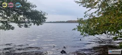 PAN323212 - zdjęcie nr 2