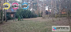 PAN630558 - zdjęcie nr 4