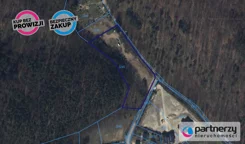 PAN312788408 - zdjęcie nr 4
