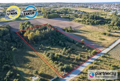 PAN956319 - zdjęcie nr 0