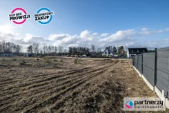 PAN906955 - zdjęcie nr 2