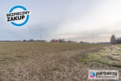 PAN955698 - zdjęcie nr 2