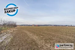 PAN955698 - zdjęcie nr 3