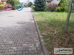 PAN539580 - zdjęcie nr 4