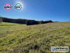 PAN289899 - zdjęcie nr 2