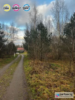 PAN449295 - zdjęcie nr 4