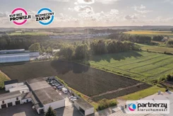PAN349026 - zdjęcie nr 3