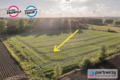 PAN704628 - zdjęcie nr 0