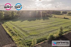 PAN602667 - zdjęcie nr 2
