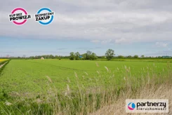PAN385538 - zdjęcie nr 1