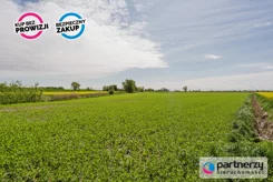 PAN385538 - zdjęcie nr 4