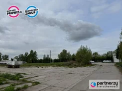 PAN635680 - zdjęcie nr 3