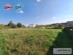 PAN850074 - zdjęcie nr 1