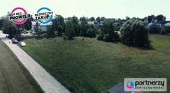 PAN929564 - zdjęcie nr 3