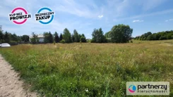 PAN929564 - zdjęcie nr 4