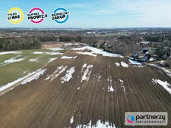 PAN493358 - zdjęcie nr 4