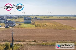 PAN913992 - zdjęcie nr 2