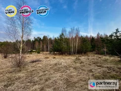 PAN355481 - zdjęcie nr 4