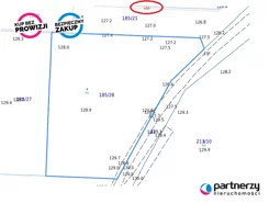 PAN545725 - zdjęcie nr 3