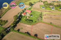 PAN113579 - zdjęcie nr 1
