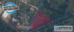 PAN379089 - zdjęcie nr 1