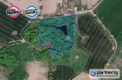 PAN674283 - zdjęcie nr 4