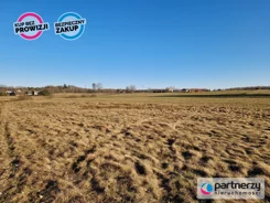 PAN480059 - zdjęcie nr 1