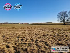 PAN480059 - zdjęcie nr 2