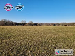 PAN480059 - zdjęcie nr 3