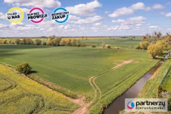 PAN964230 - zdjęcie nr 3