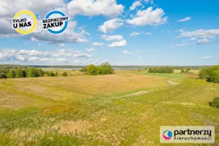 PAN411995 - zdjęcie nr 1