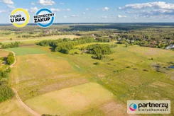 PAN257400 - zdjęcie nr 4