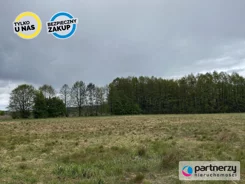 PAN625464 - zdjęcie nr 4